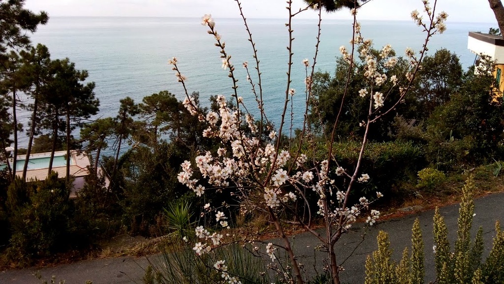 Easter by the sea of the Cinque Terre
